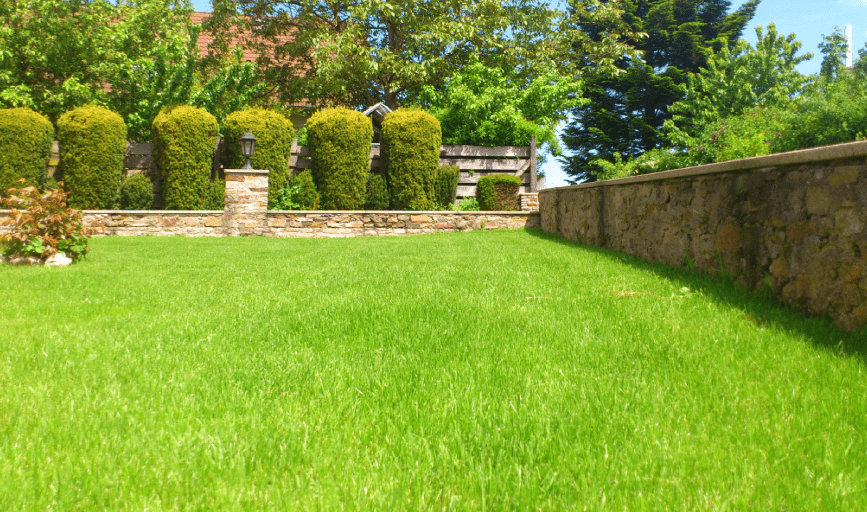 LAWN CARE