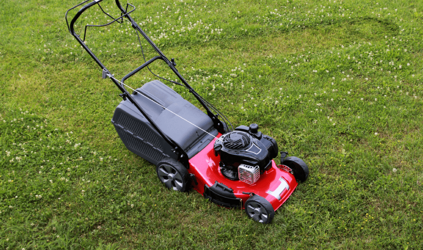 LAWN MOWING